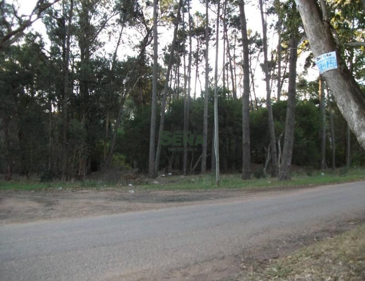 Ruta 12 e Interbalnearia