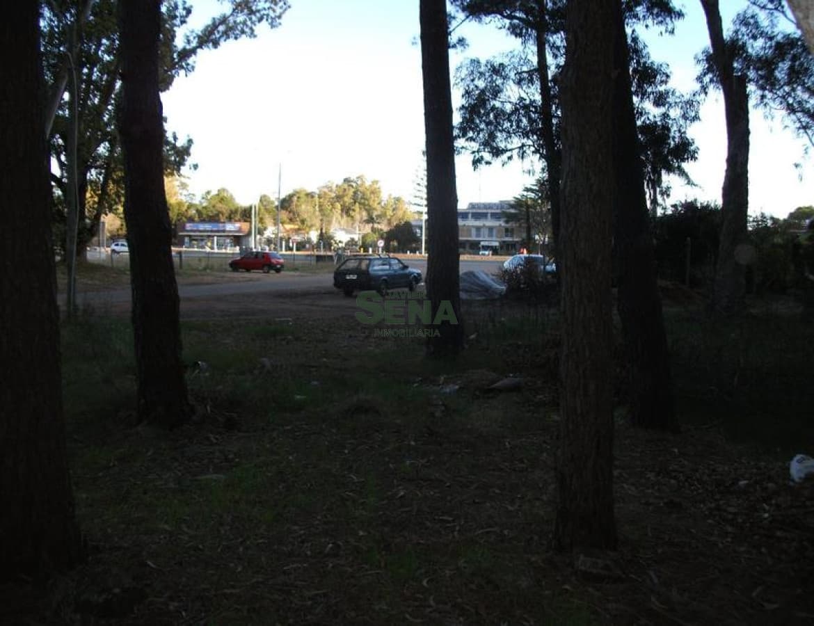 Ruta 12 e Interbalnearia