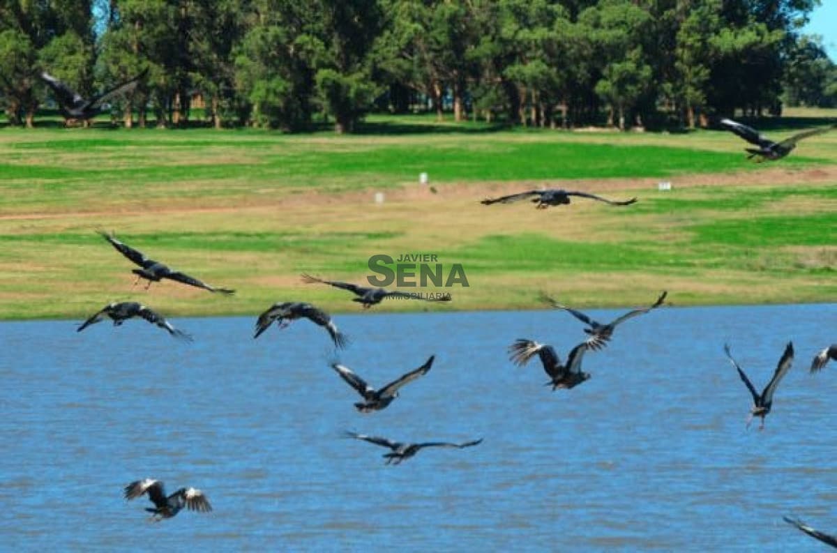 Venta de lote en Laguna de sauce, 5000m2 de tierra para construir una muy buena casa.