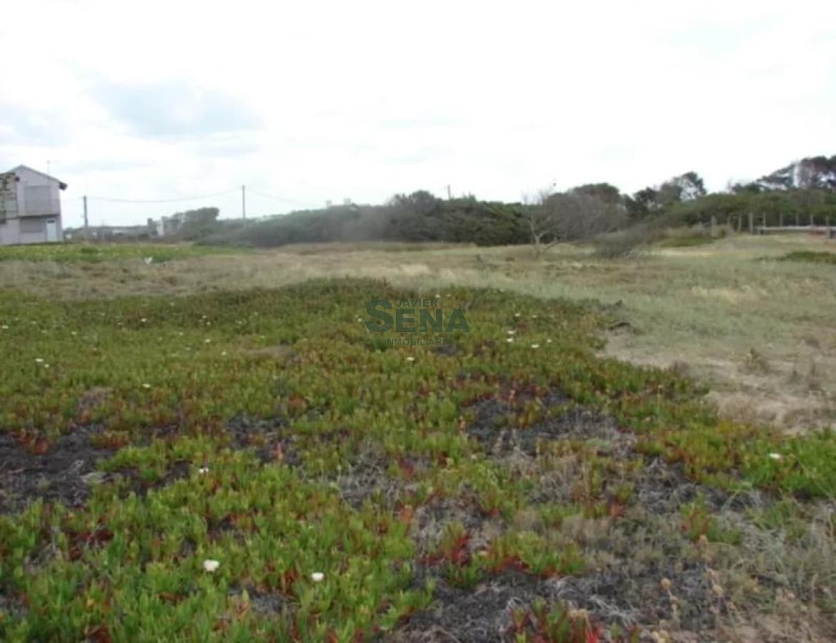 Terreno en Jose Ignacio, Santa Monica
