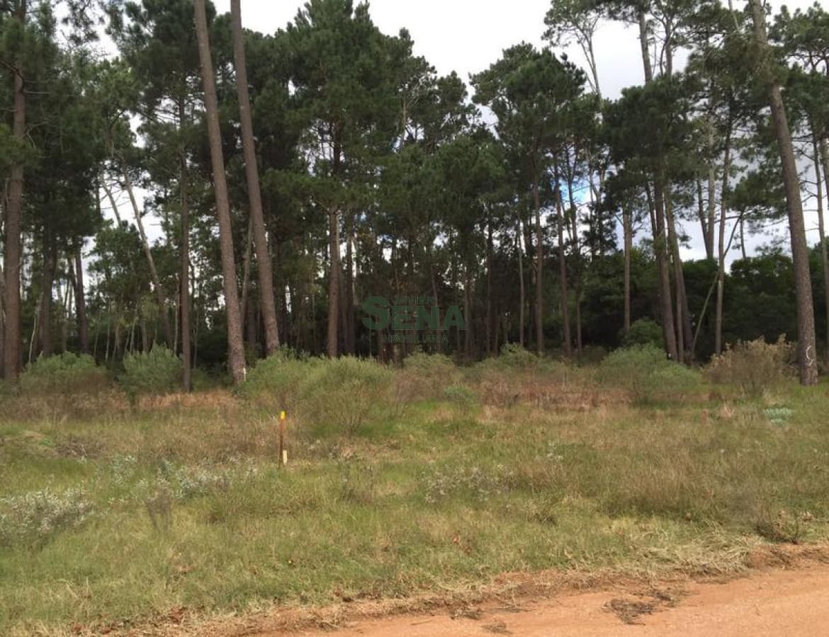 Parque Burnet, 3110m2 de tierra.