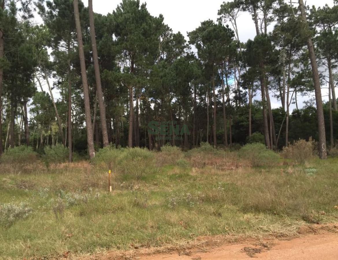 Parque Burnet, 3110m2 de tierra.