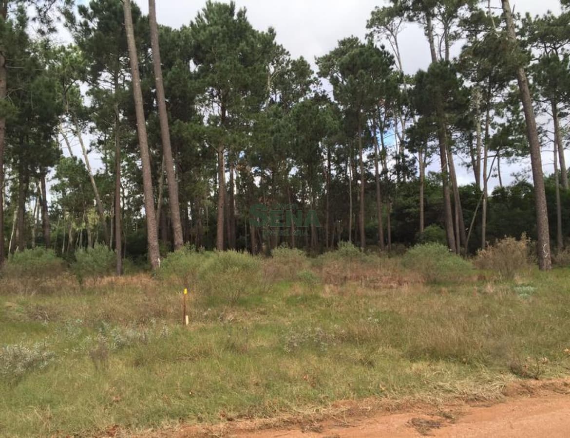 Parque Burnet, 3110m2 de tierra.