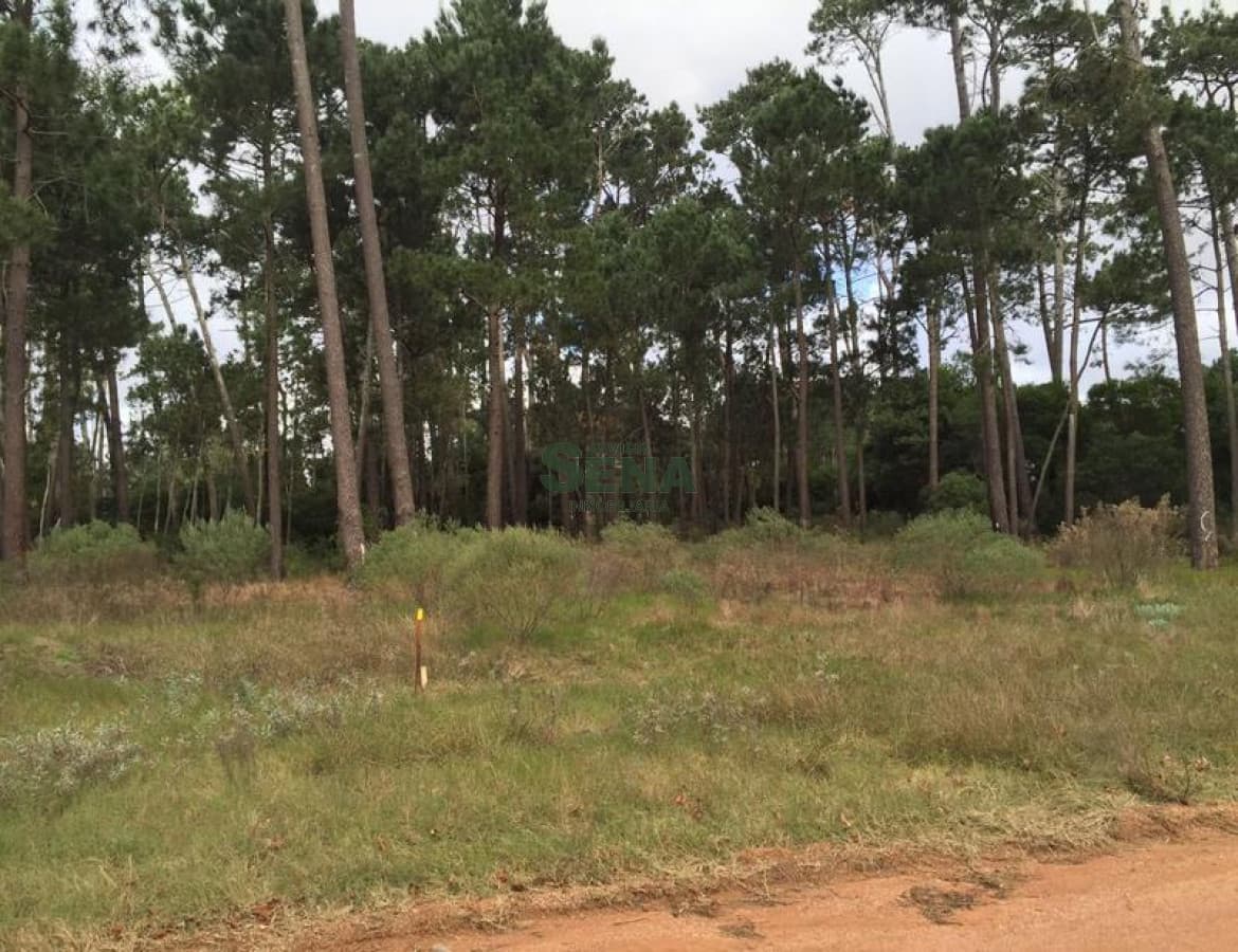 Parque Burnet, 3110m2 de tierra.