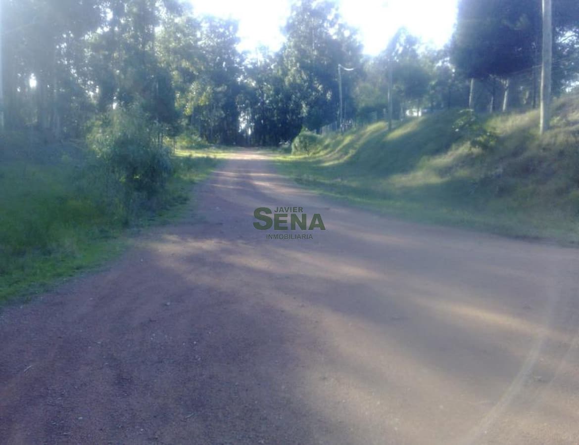 Parque Burnett, muy lindo terreno.