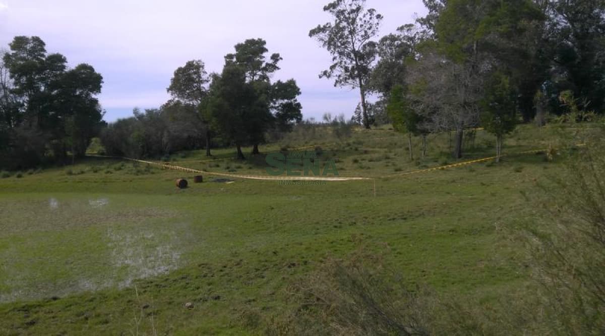 Venta de lote en Eden Rock,  de 800m2