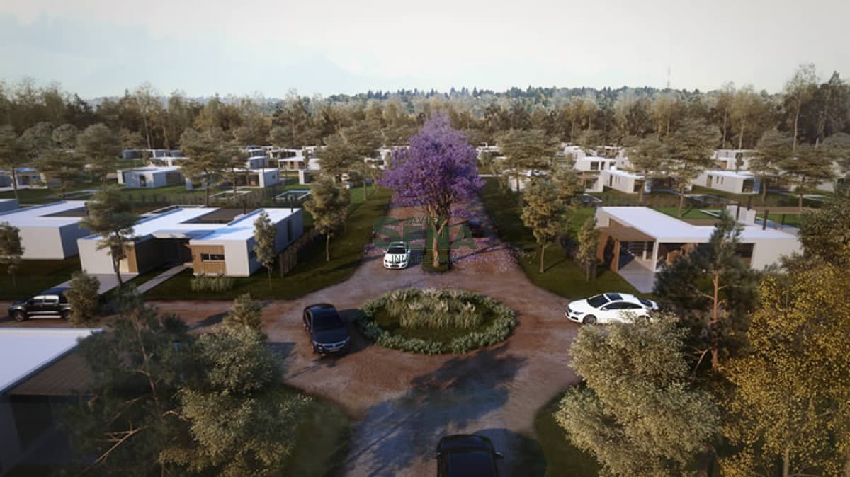 Venta de lotes En el corazón de Punta Ballena, lotes de 1000m2.
