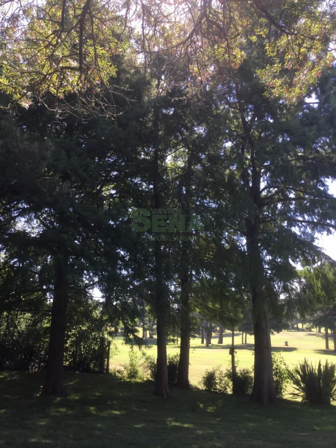 Venta de lote en el golf, gran entorno, son 3400M2 de tierra para edificar un gran Chalet.