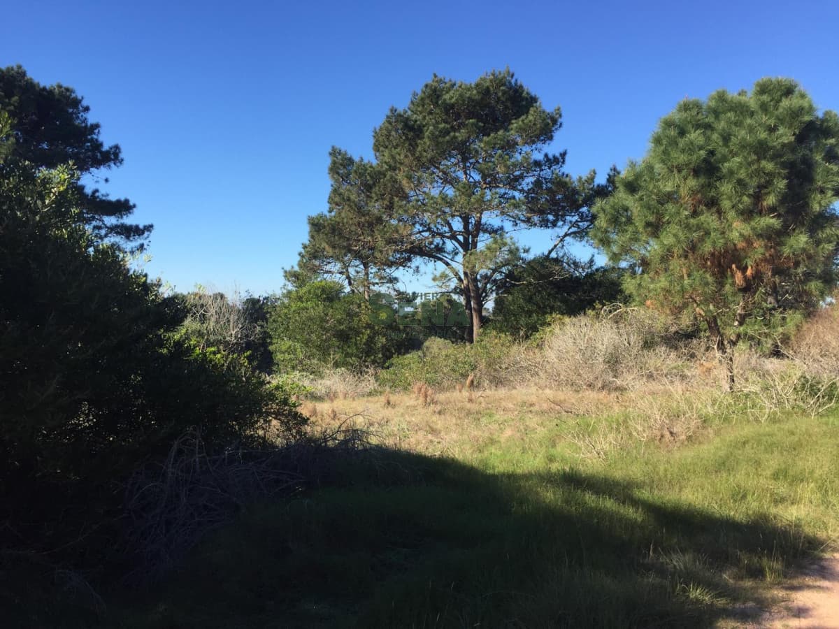 Venta de terreno en Jose Ignacio, 1538m2 cerca del mar.