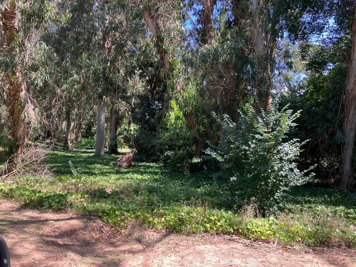 Venta de Terreno en pedragosa Sierra, excelente ubicacion para construir complejo edilicio.