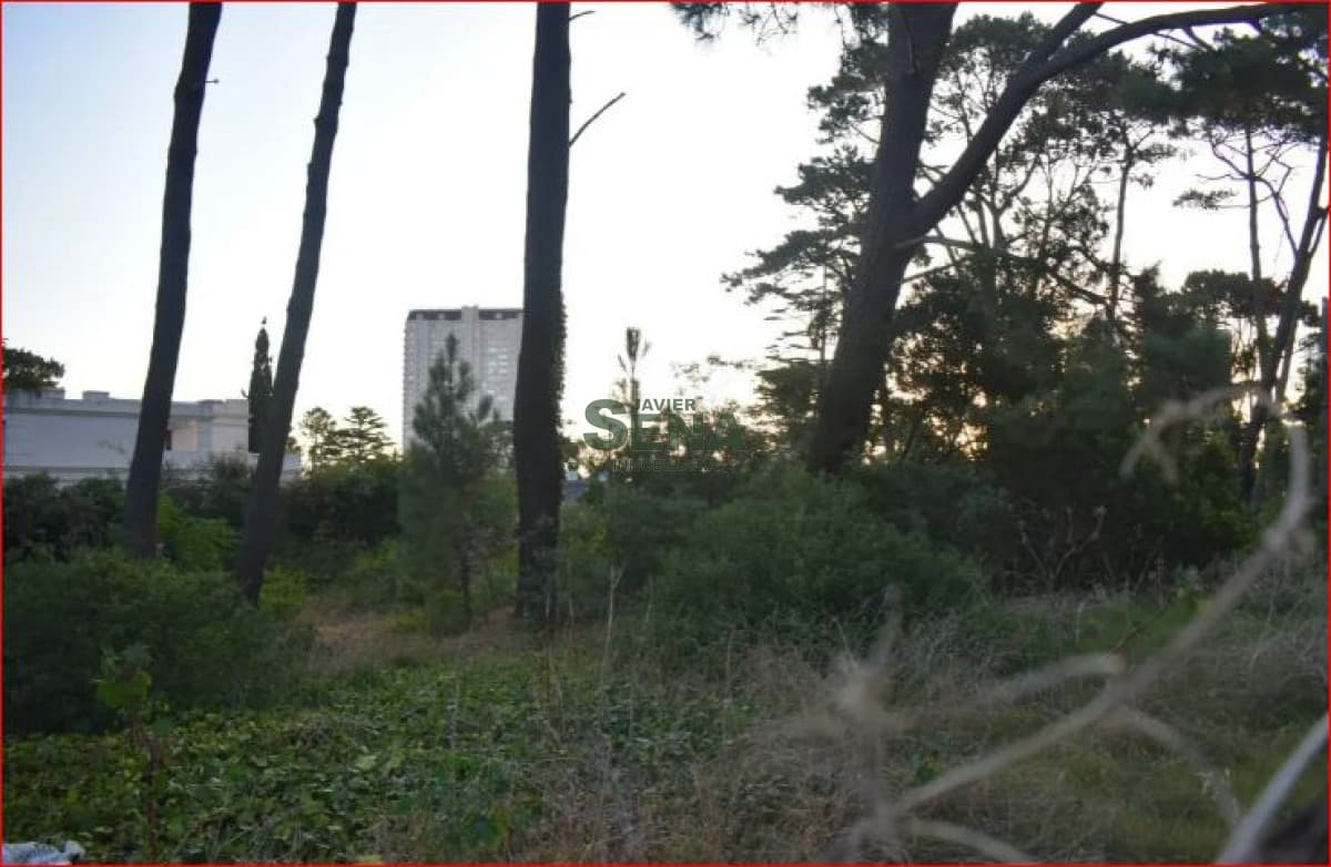 Venta de terreno en la Mansa, 1053m2 de tierra para construir un gran chalet.