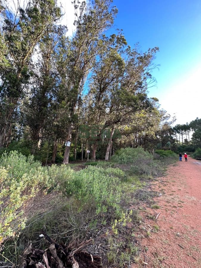 Venta de Tierra en Parque Burnet, 3050m2 de terreno para construir en P.H.