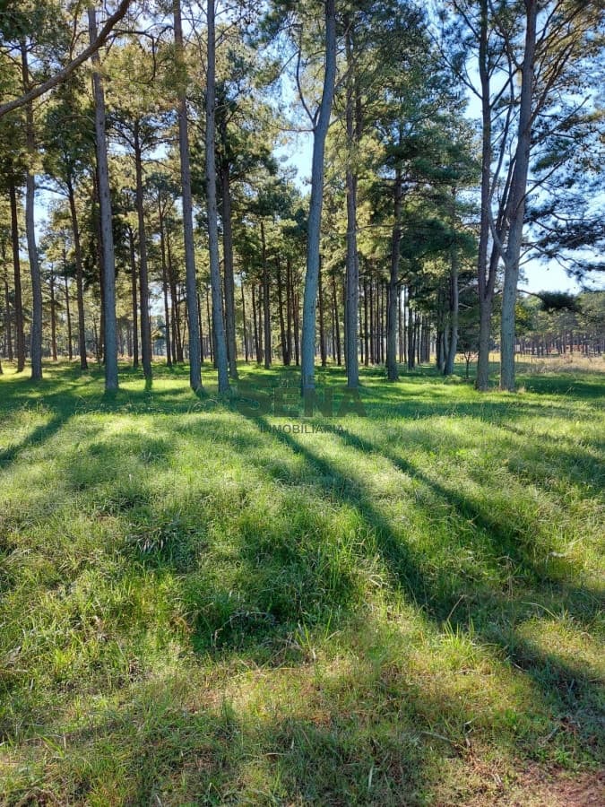 Venta de lote en chacras del Pinar, 1000m2 de tierra.