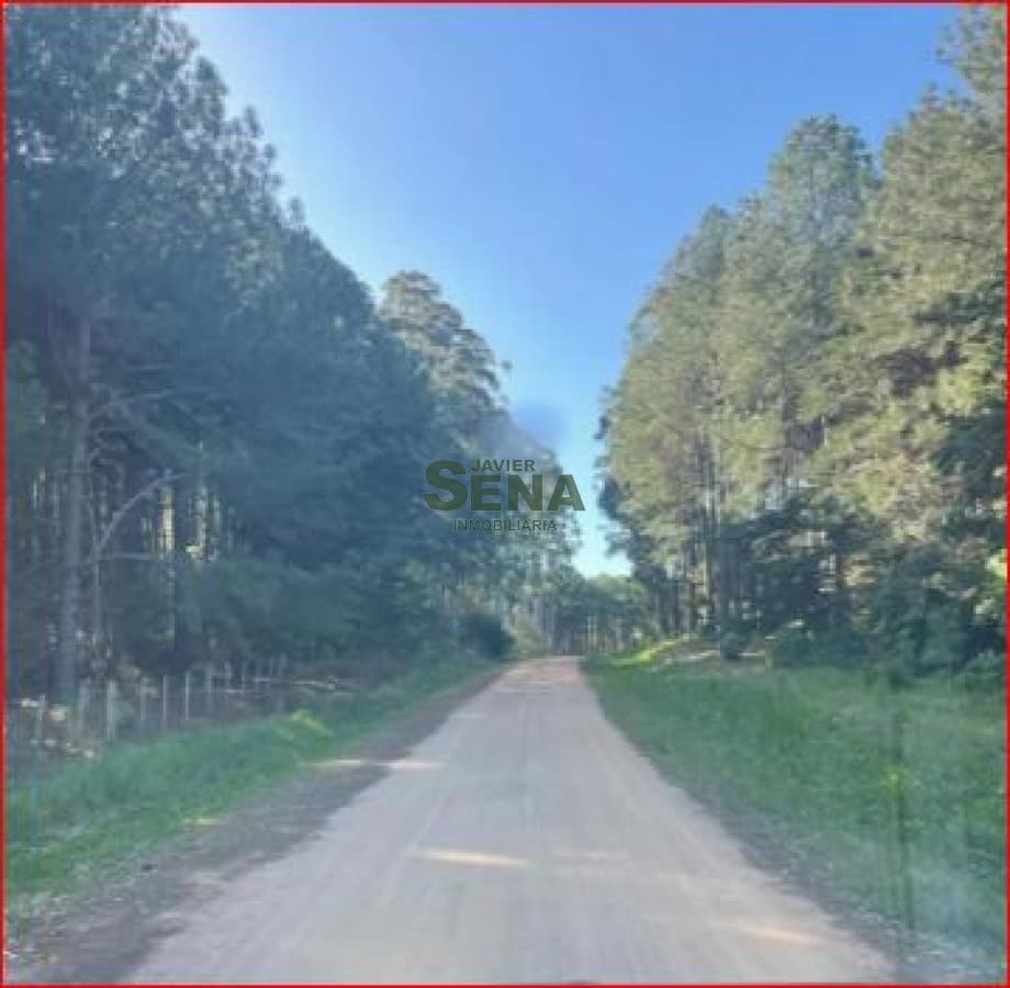 Venta de lote en las Grutas, 1000m2 de tierra, precioso lugar.