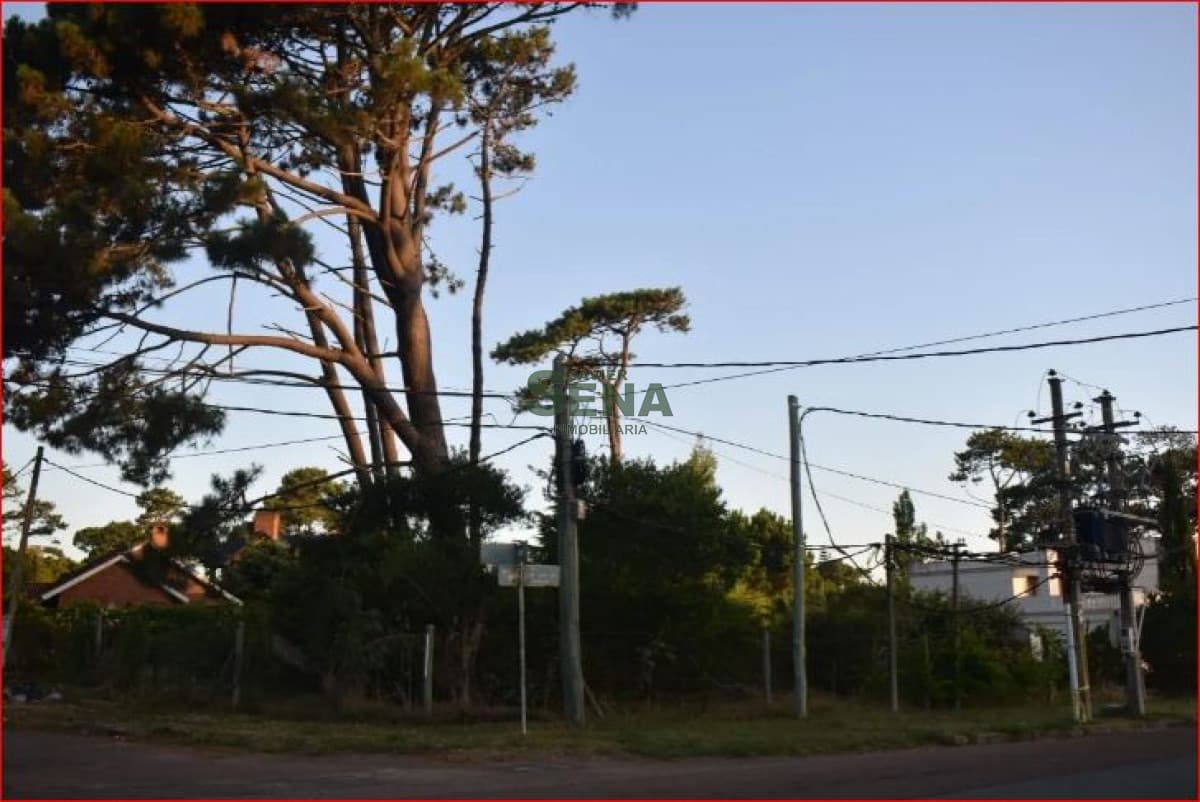 Venta de terreno en la Mansa, 1053m2 de tierra para construir un gran chalet.