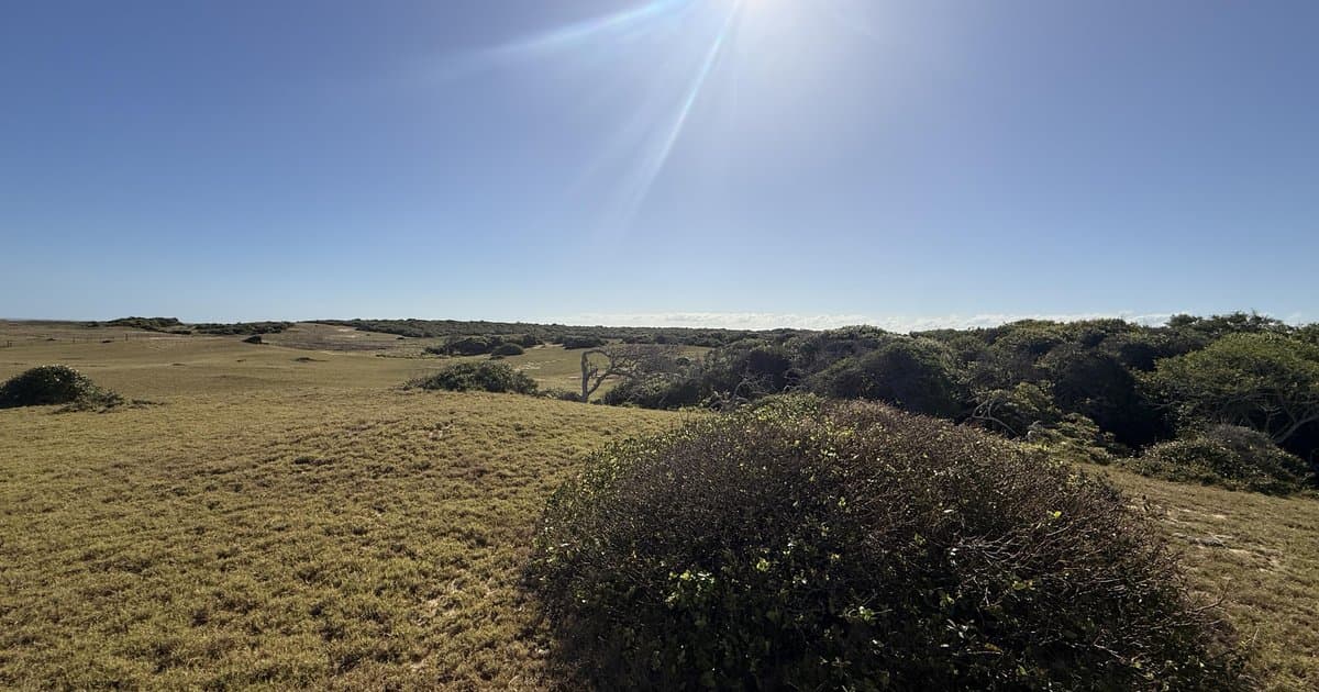 Terreno en Venta en Punta Ballena - Chihuahua