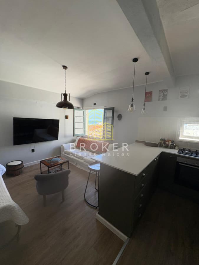 Alquiler Temporario Departamento 1 dormitorio remodelado, Península Punta del Este