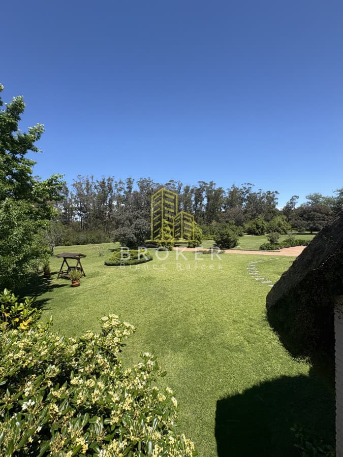 Venta Chacra Punta Ballena Punta del Este 24 Hectares espectacular! 
