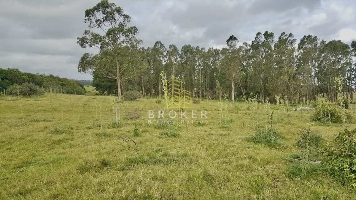 Venta Terreno San Sebastián, Rocha