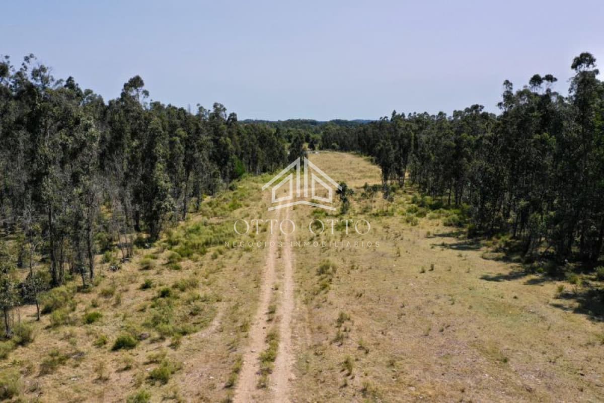 Chacra en venta  monoambiente