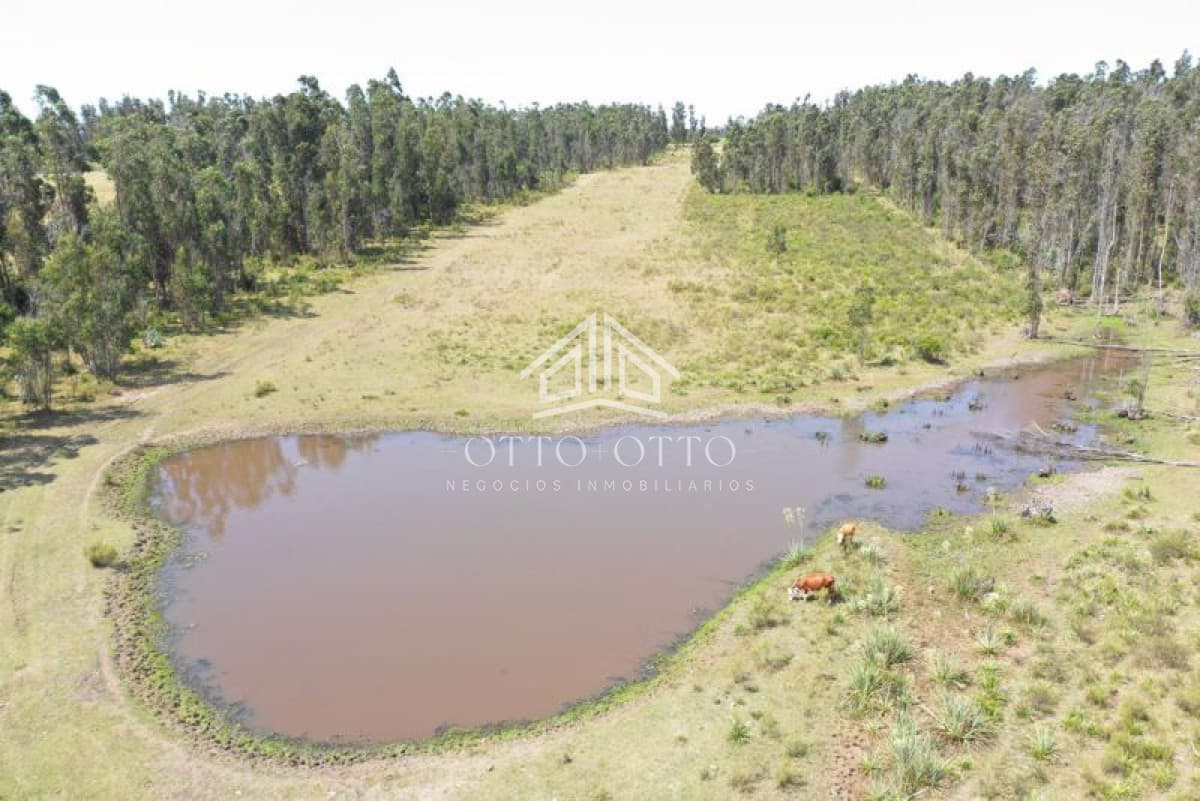 Chacra en venta  monoambiente