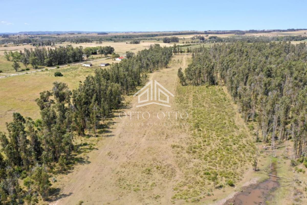 Chacra en venta  monoambiente