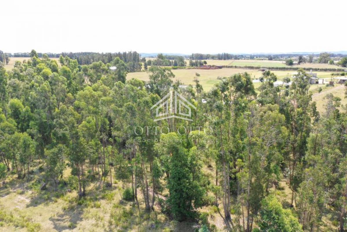 Chacra en venta  monoambiente