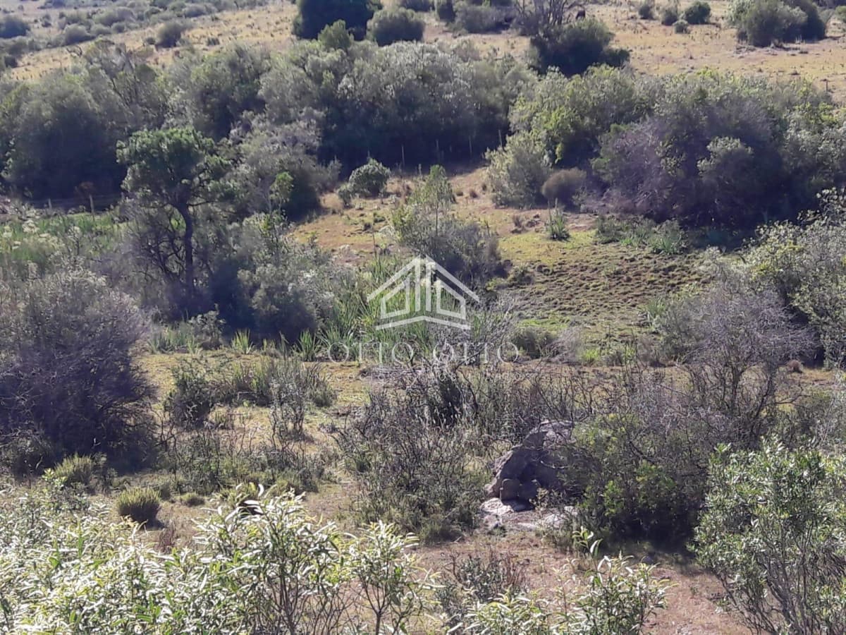 Terreno en Aigua, Uruguay . 