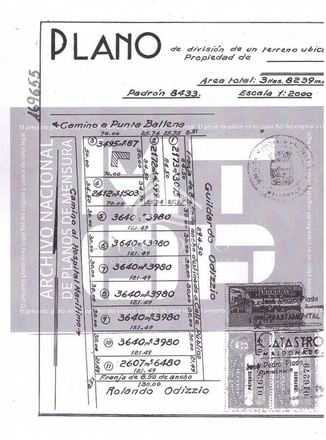 Lote con + de 10.000 metros. Punta del Este. Camino Lussich