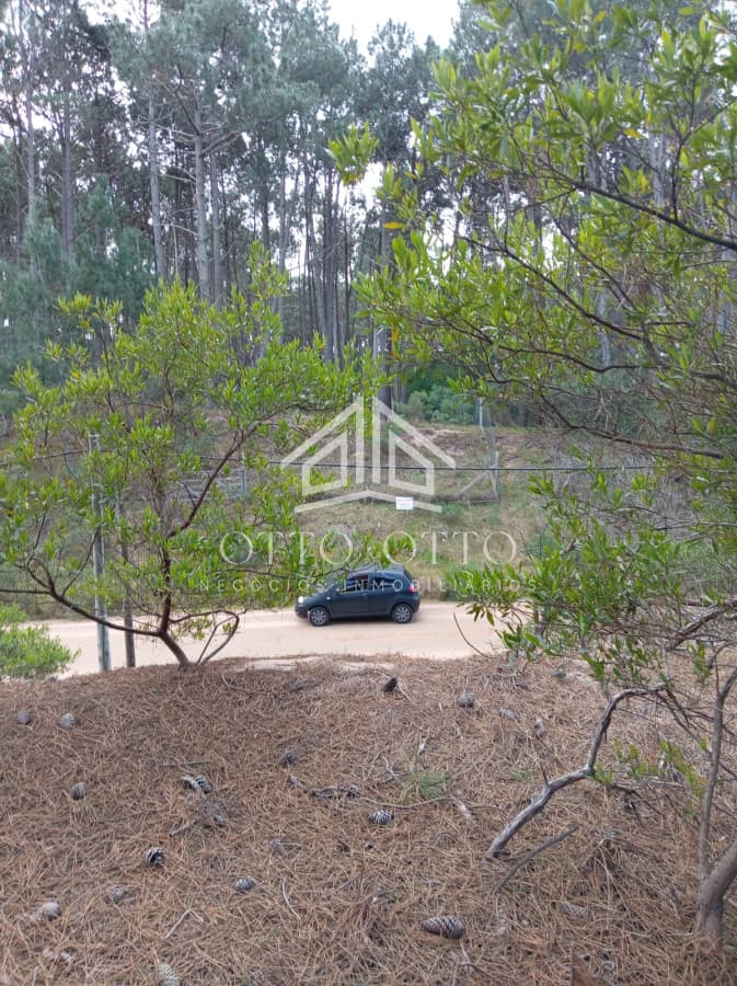 Terreno en venta Punta Del Este 