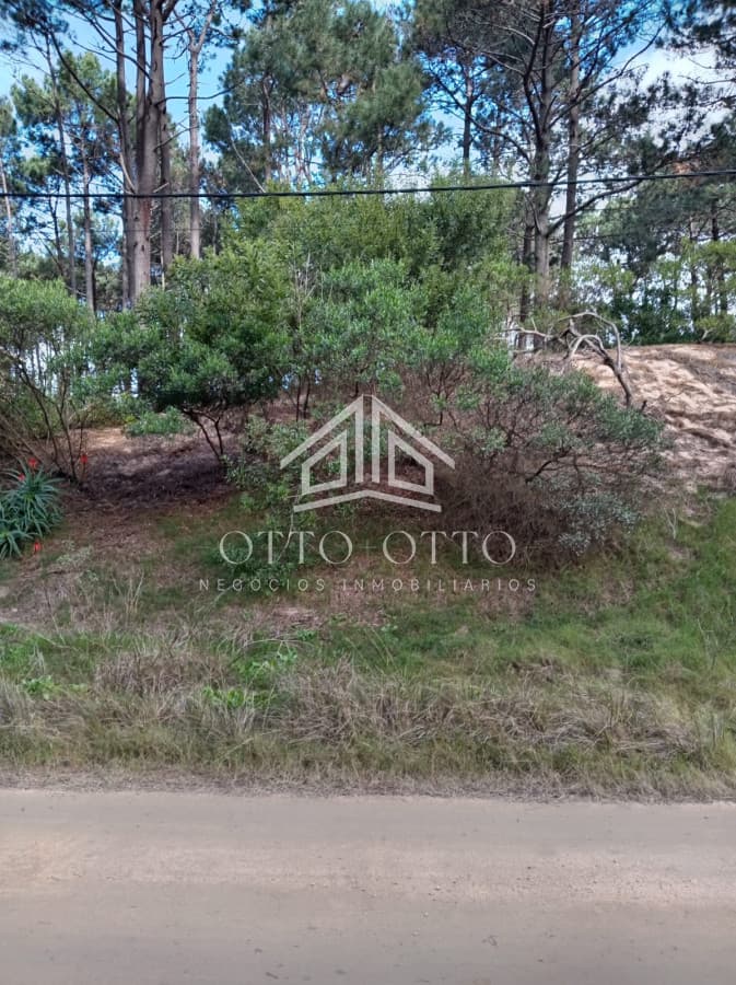 Terreno en venta Punta Del Este 