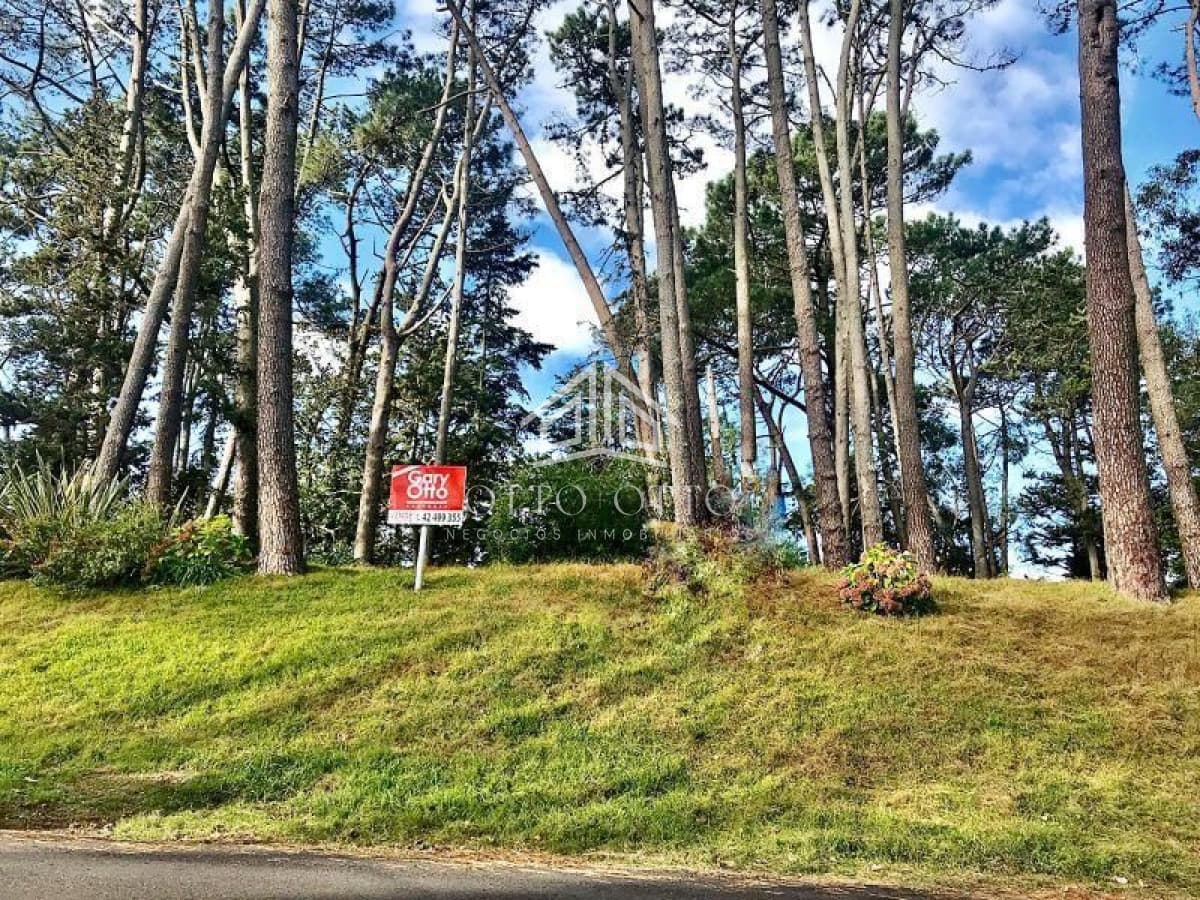 Terreno en venta Cantegril 