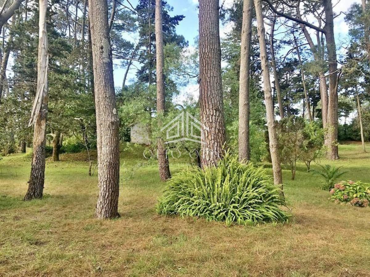 Terreno en venta Cantegril 