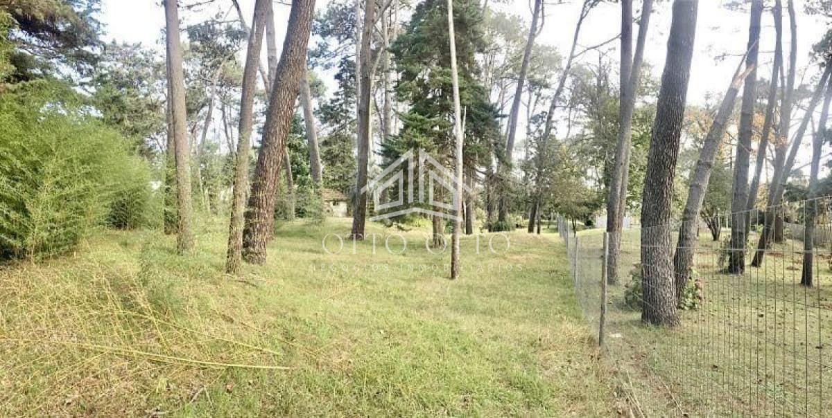 Terreno en venta Cantegril 