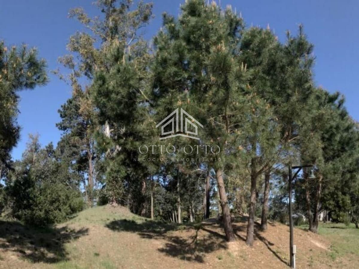 Terreno en venta La Arbolada 