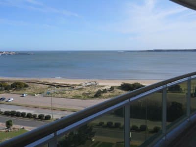 Coral Tower  -