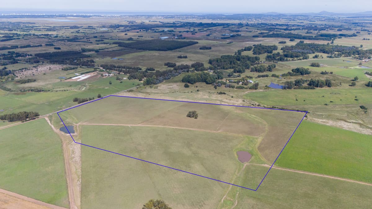 Resultados para "Campo Rincón del Indio" | Punta del Este Inmobiliaria