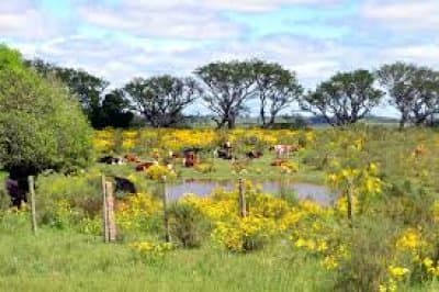 Venta lotes en Las Taperas