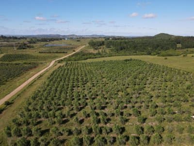 Chacra 1 hectárea en venta en Ruta 104