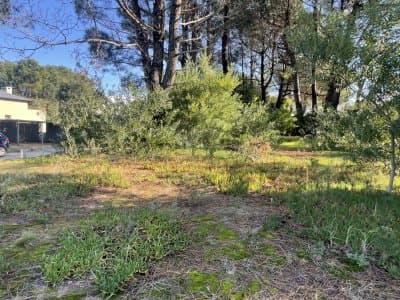 Lote en venta Pinar del Faro en José Ignacio