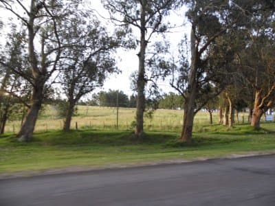 Chacra Ref.952